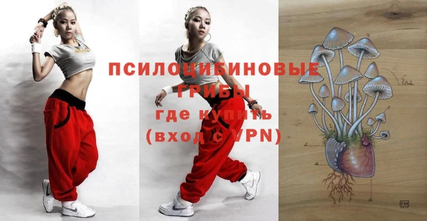 круглые Рославль