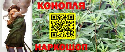 соль ск Канаш
