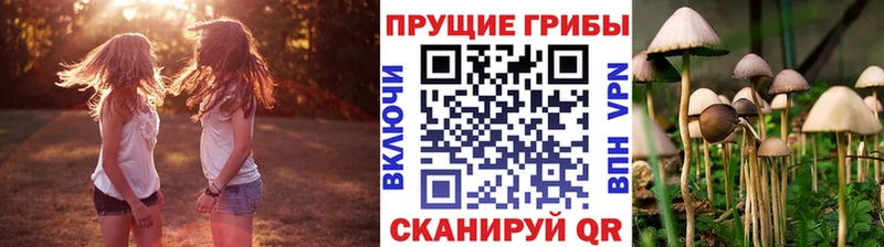 Псилоцибиновые грибы ЛСД  KRAKEN ONION  Сокол 