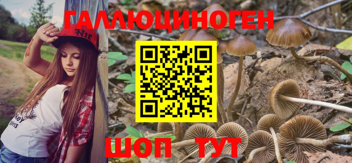 Псилоцибиновые грибы мицелий  купить закладку  Сокол  Вход с VPN 